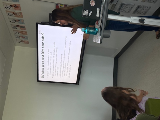 C-IMG_1790.jpg (113 KB)