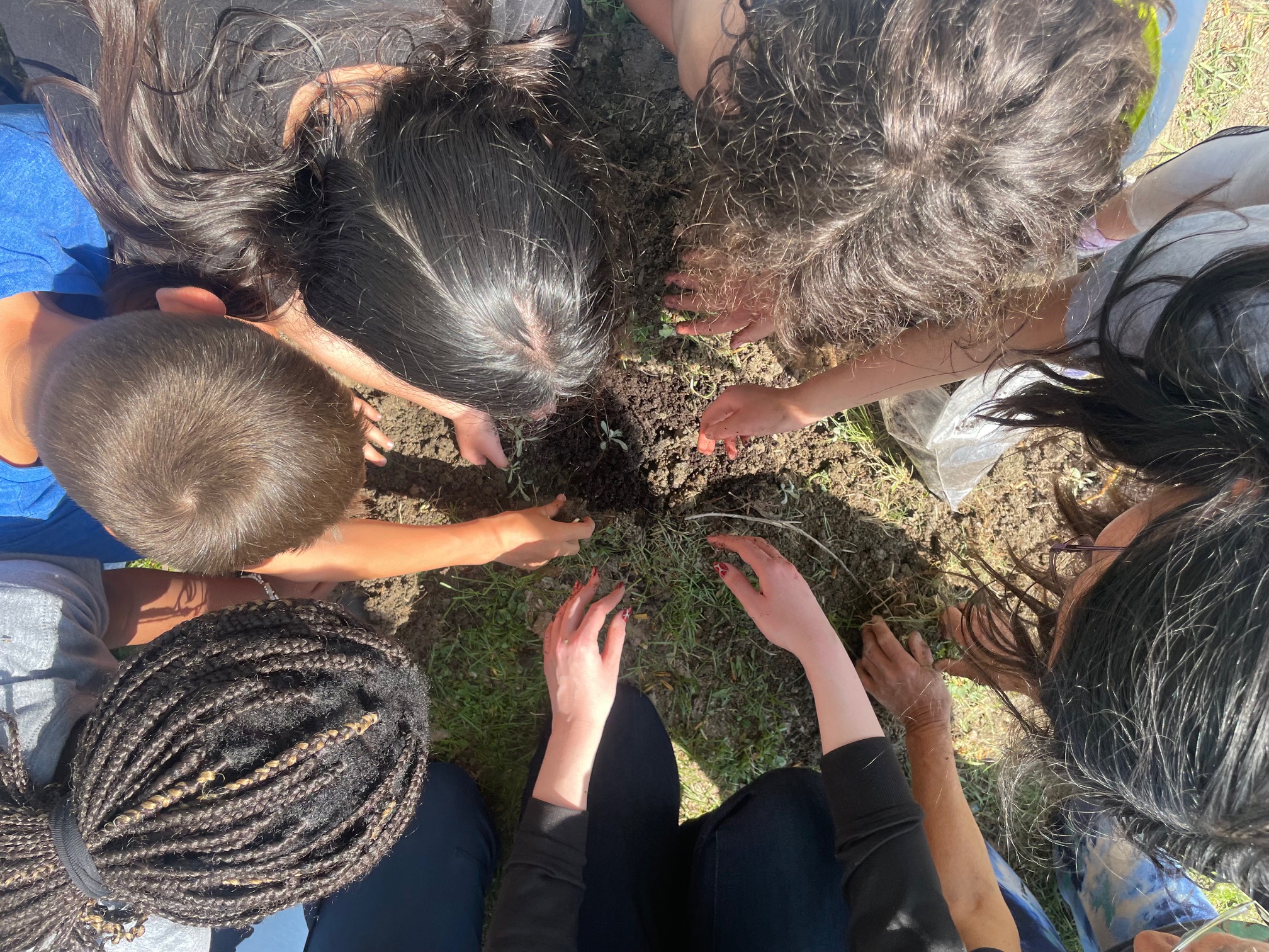 z sauge.jpg (1.52 MB)